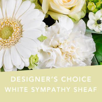 DC white sympathy sheaf