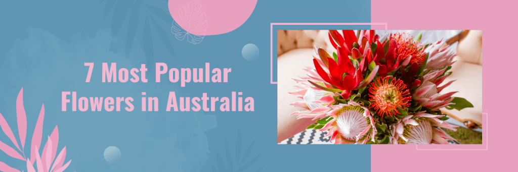 7 Most Popular Flowers in Australia