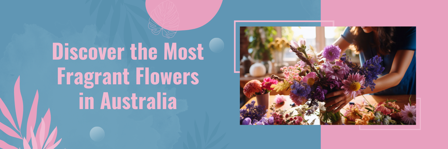 Discover the Most Fragrant Flowers in Australia
