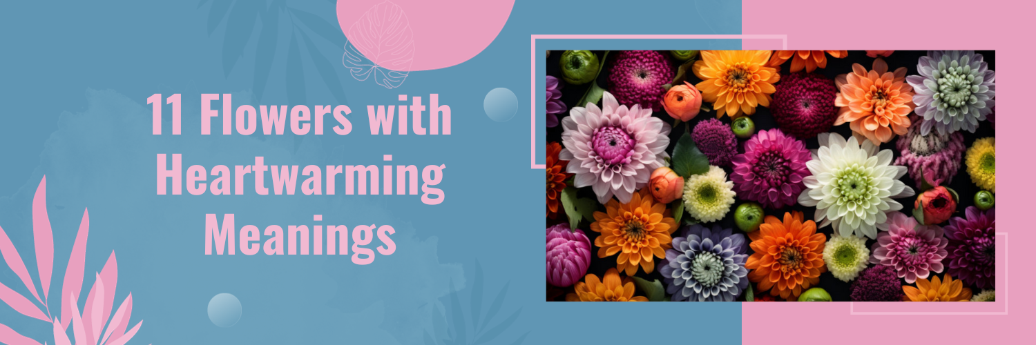 11 Flowers with Heartwarming Meanings