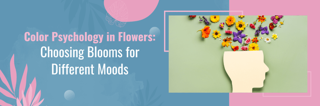 Color Psychology in Flowers: Choosing Blooms for Different Moods