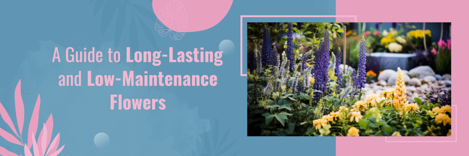 A Guide to Long-Lasting and Low-Maintenance Flowers