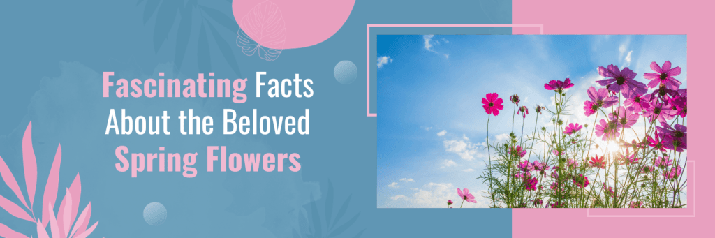 Fascinating Facts About the Beloved Spring Flowers