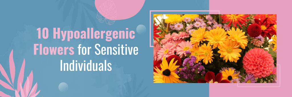 10 Hypoallergenic Flowers for Sensitive Individuals