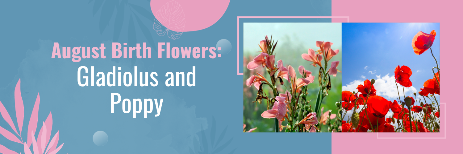 August Birth Flowers: Gladiolus and Poppy