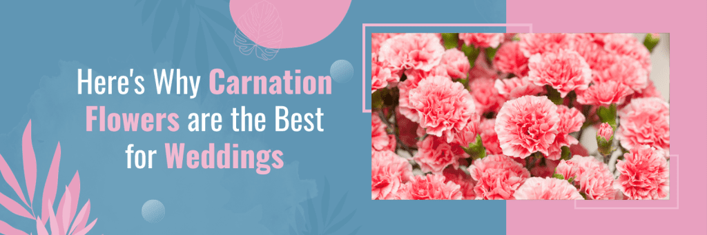 Here's Why Carnation Flowers are the Best for Weddings