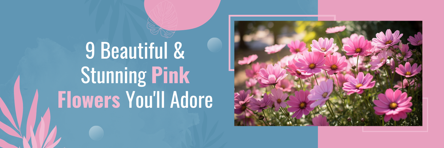 9 Beautiful & Stunning Pink Flowers You'll Adore