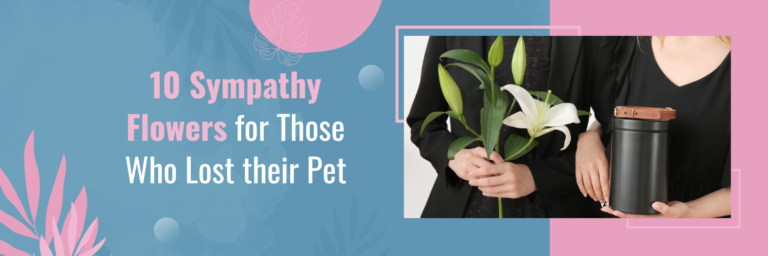 Flowers for Dead Pet: 10 Sympathy Flowers for Those Who Lost their Pet
