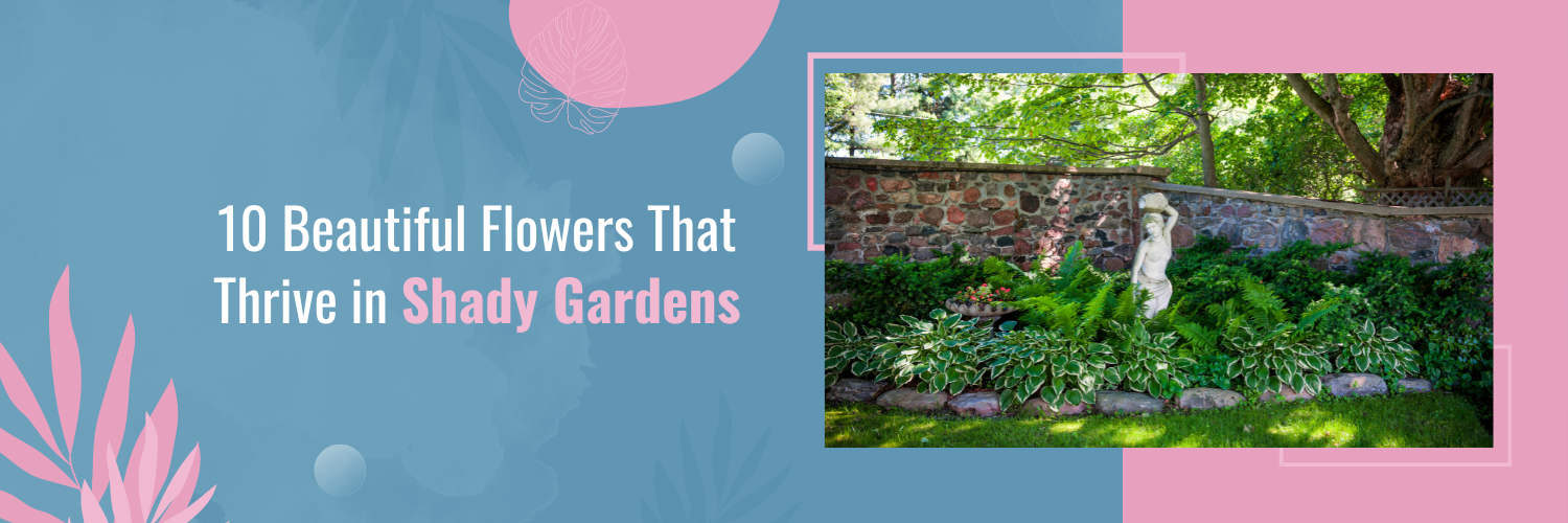 10 Beautiful Flowers That Thrive in Shady Gardens