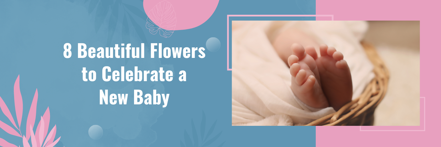 8 Beautiful Flowers to Celebrate a New Baby